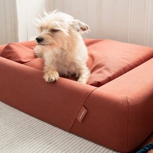 Tuft and Needle dog bed in rust color SMALL